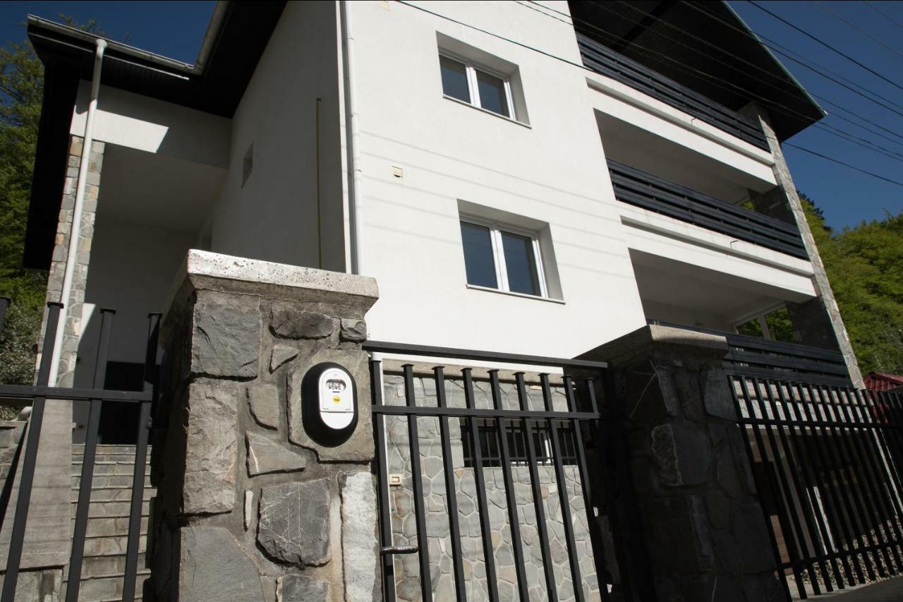 Studio 35 Buşteni Εξωτερικό φωτογραφία