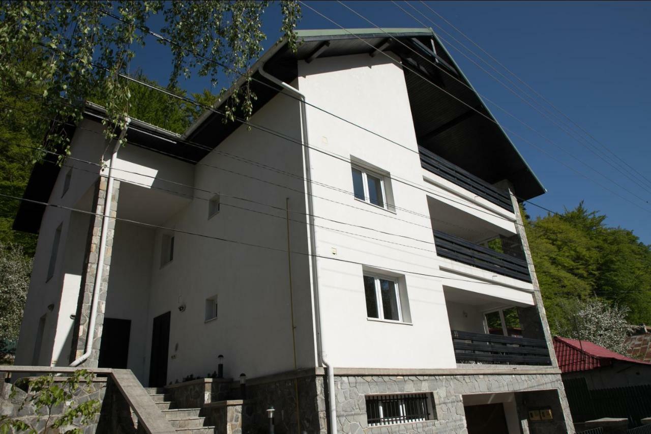 Studio 35 Buşteni Εξωτερικό φωτογραφία