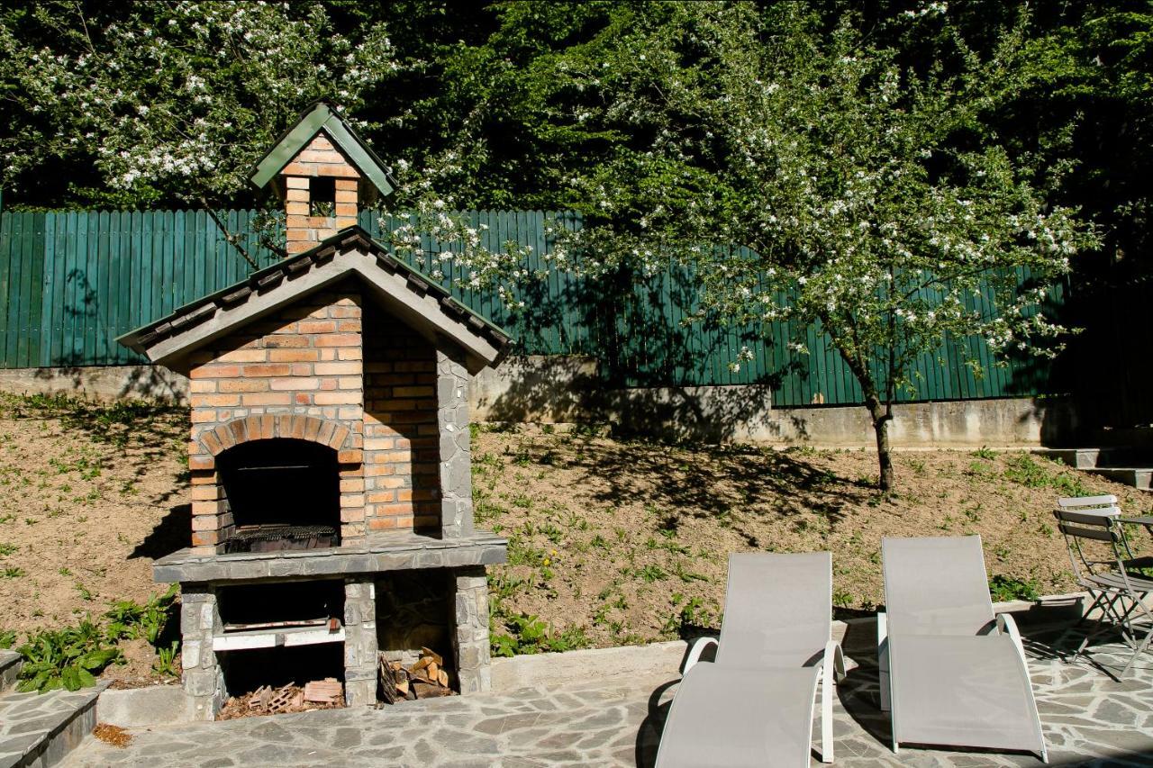 Studio 35 Buşteni Εξωτερικό φωτογραφία